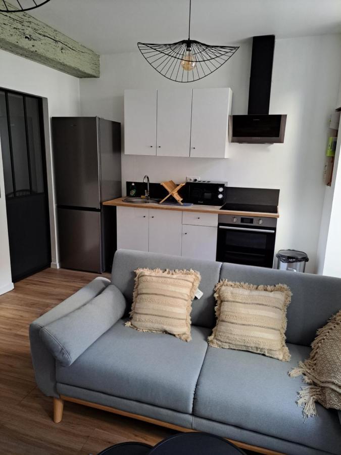 Echappee Belle En Plein Coeur D Auxerre Apartment Luaran gambar