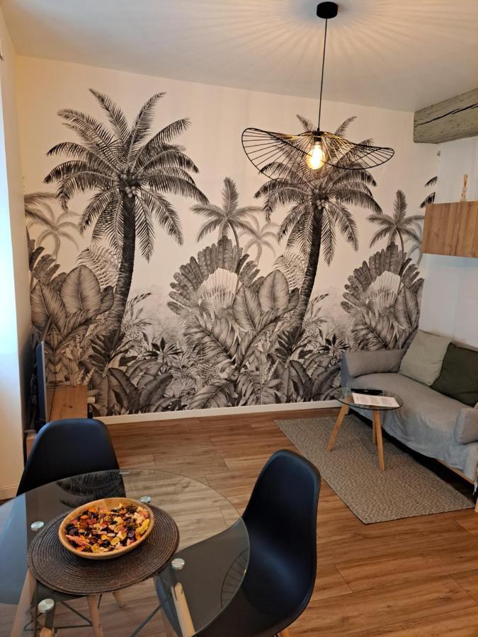 Echappee Belle En Plein Coeur D Auxerre Apartment Luaran gambar